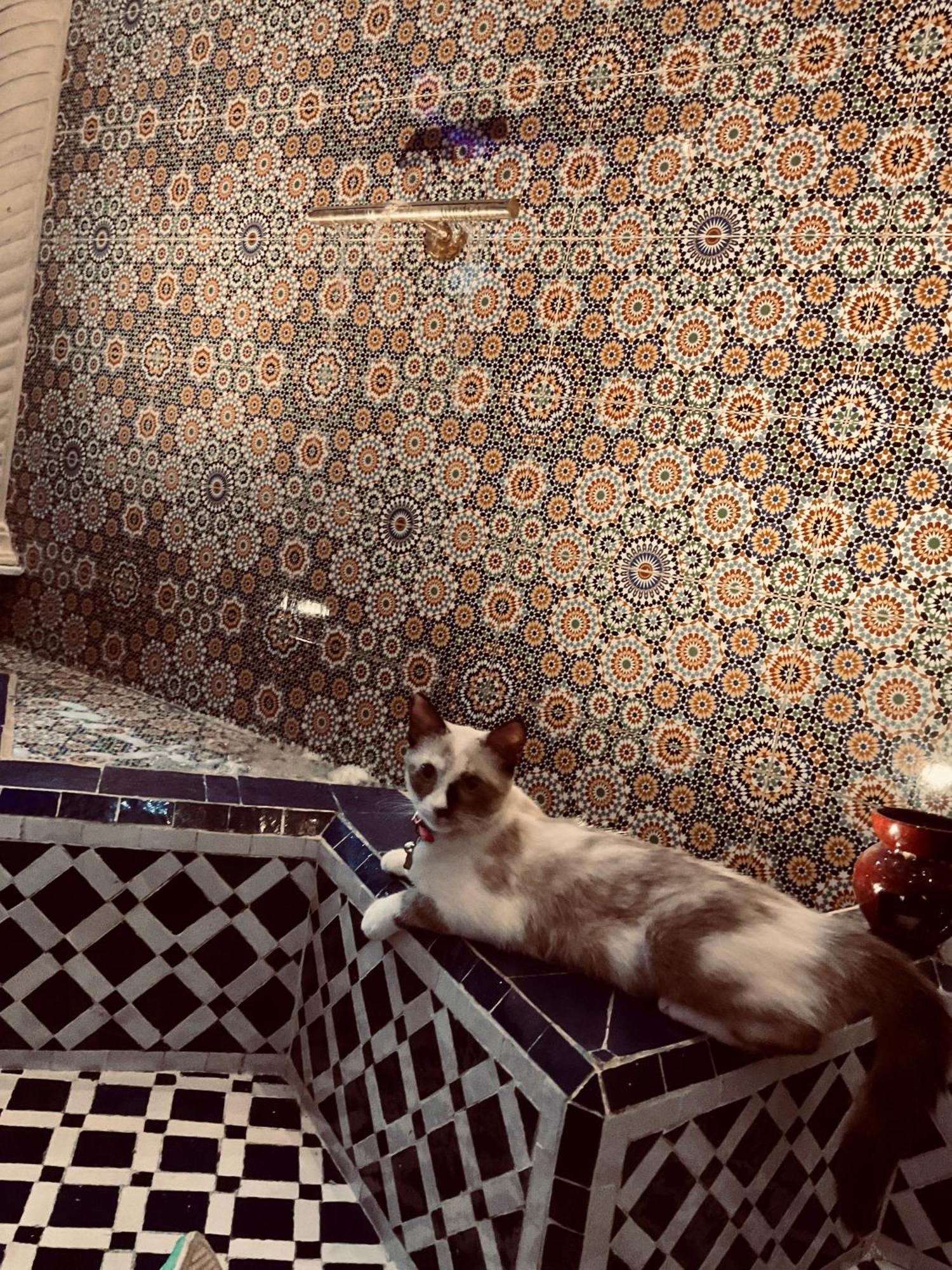 Riad Lalla Merieme Марракеш Экстерьер фото